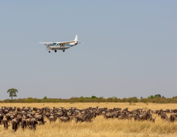 3 Days Serengeti Fly-in Safari