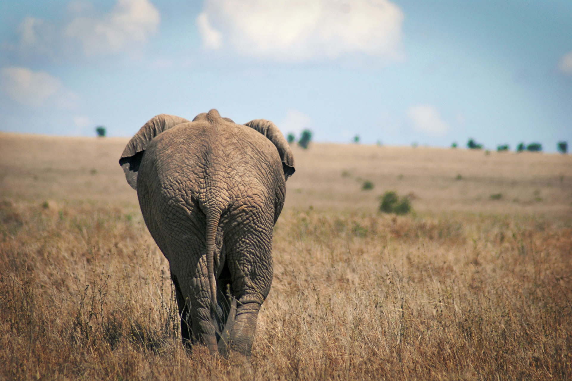 Tarangire National Park