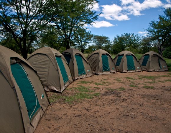 6 Days Tanzania Camping Safari