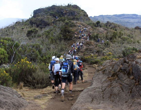 How can I prepare for high altitude on Kilimanjaro?