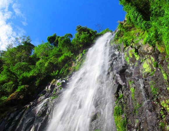 Materuni Waterfalls and Coffee Making Tour