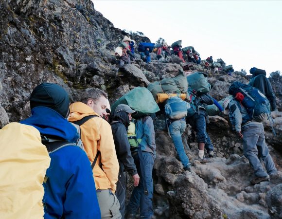 Kilimanjaro 7 Days Lemosho Route
