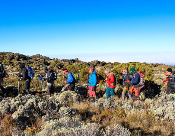 Kilimanjaro 7 Days Machame Route