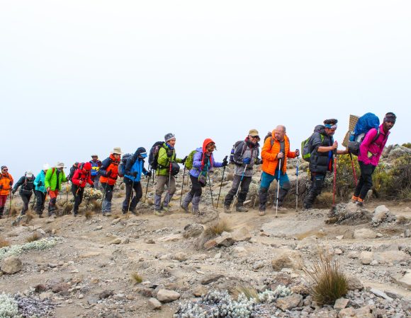 Kilimanjaro All Inclusive, What is Included
