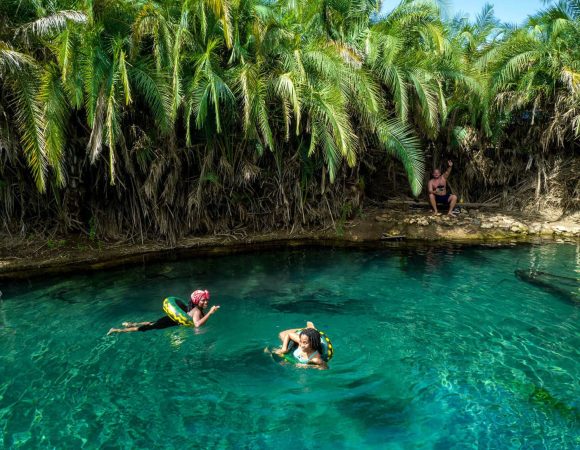 Kikuletwa Hot Spring Day Trip