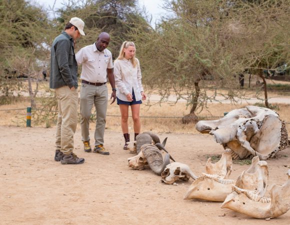 6 Days Northern Classic Safari