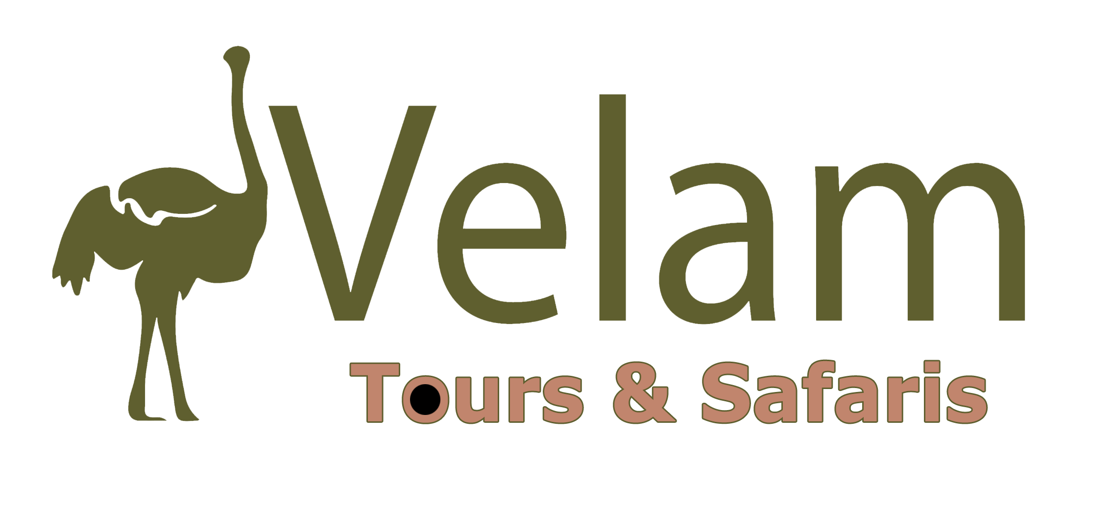 logo-web-velam2