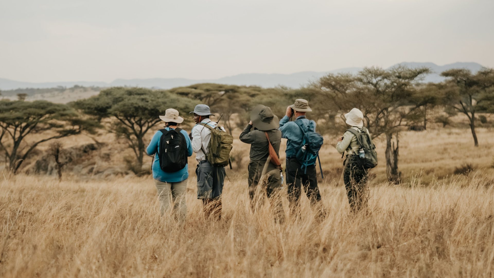 Wildlife Safari Tips