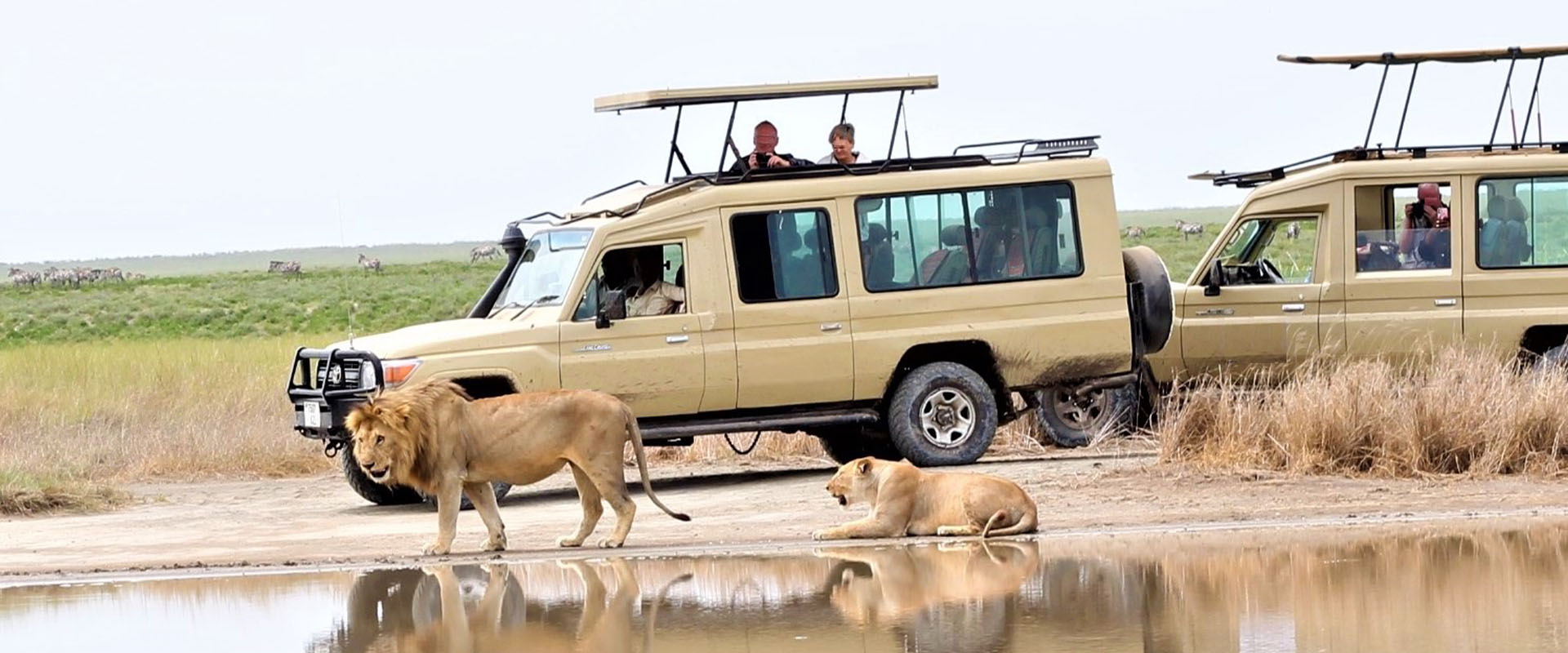 What Does a Tanzania Safari Really Cost?