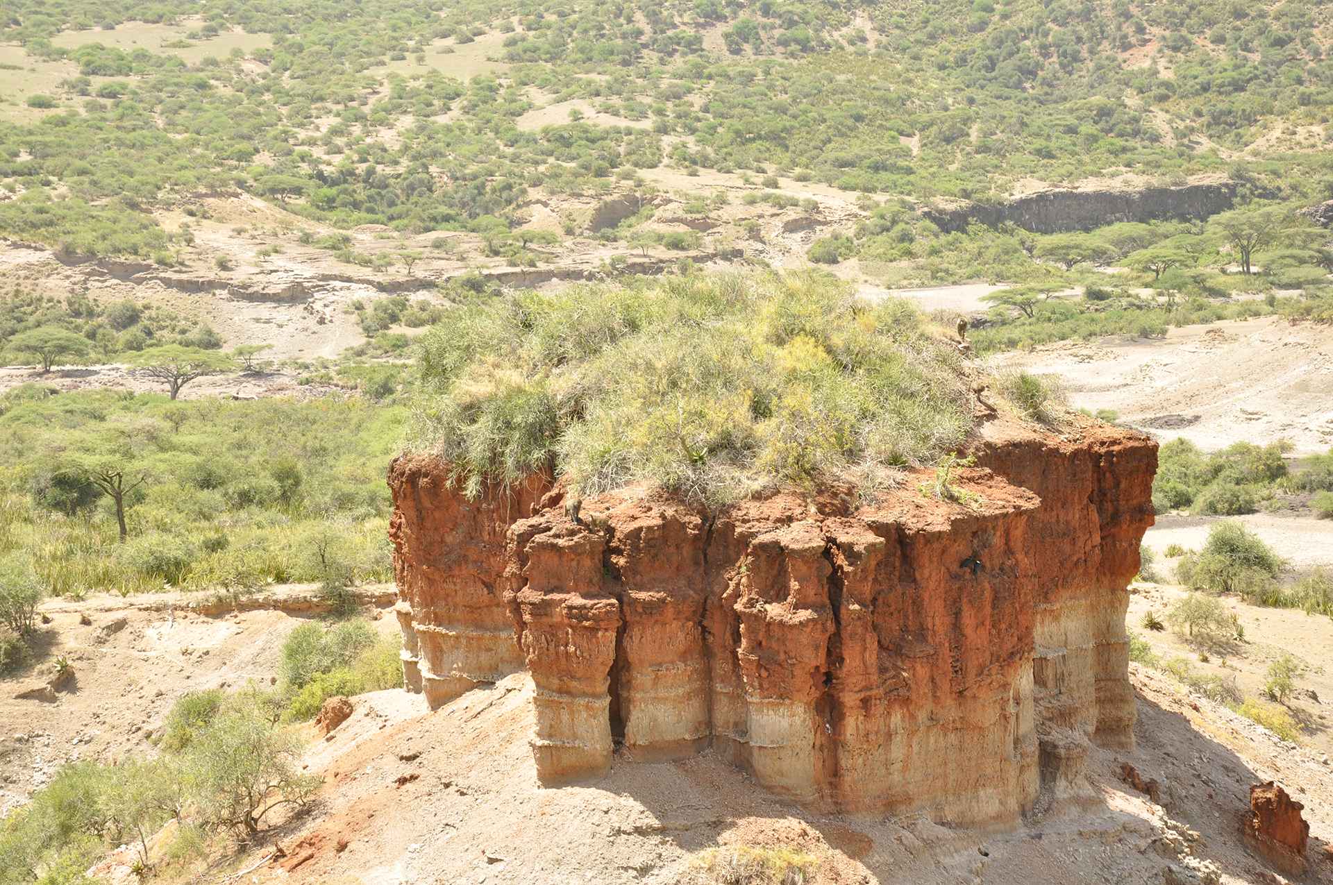 Why Tanzania Should Be Your Next Travel Destination