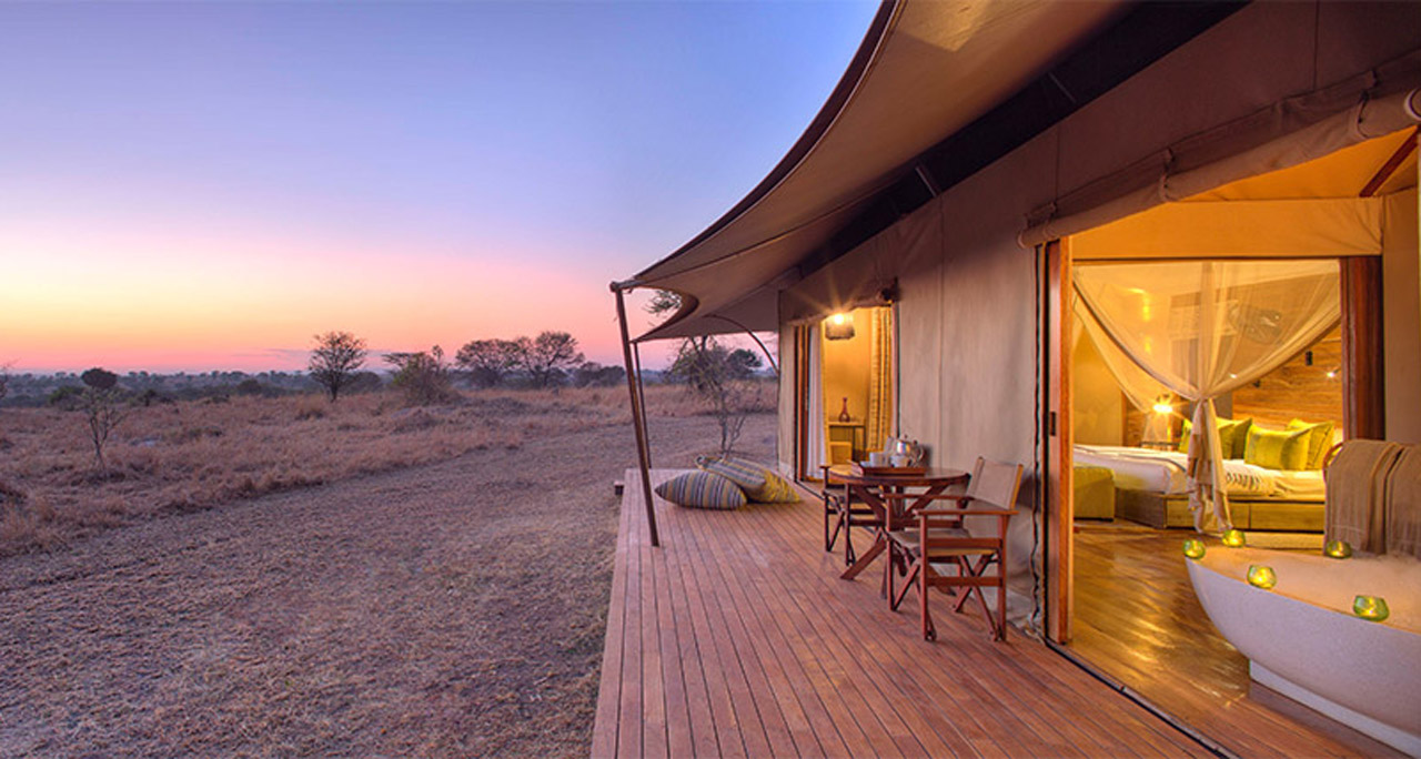 What Does a Tanzania Safari Really Cost?