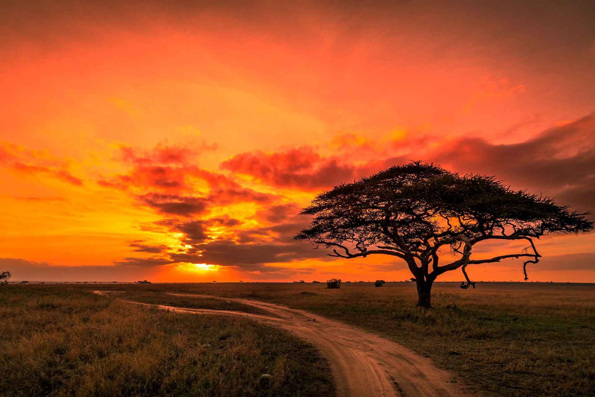 Most Recommended Tanzania Safari Itineraries