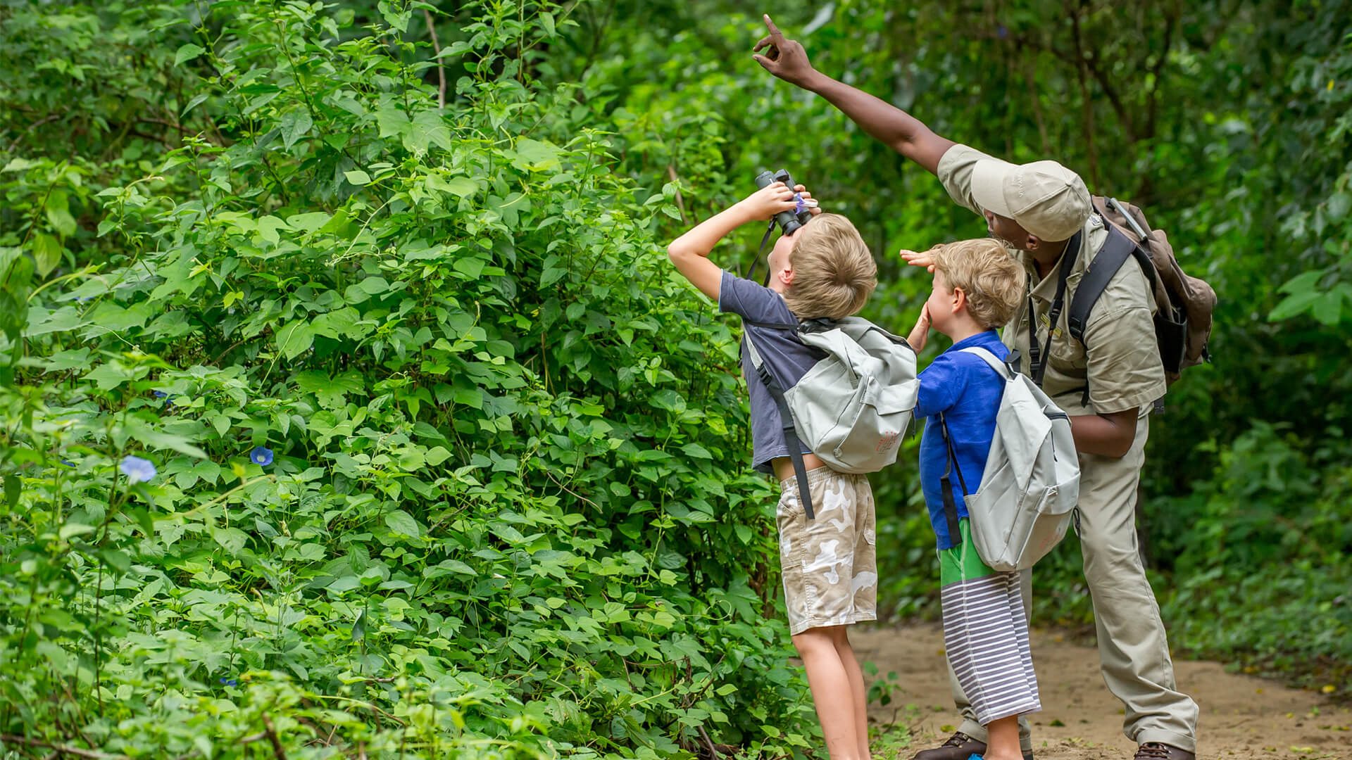 Tanzania Family Safari Cost