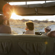 Tanzania Family Safari Cost