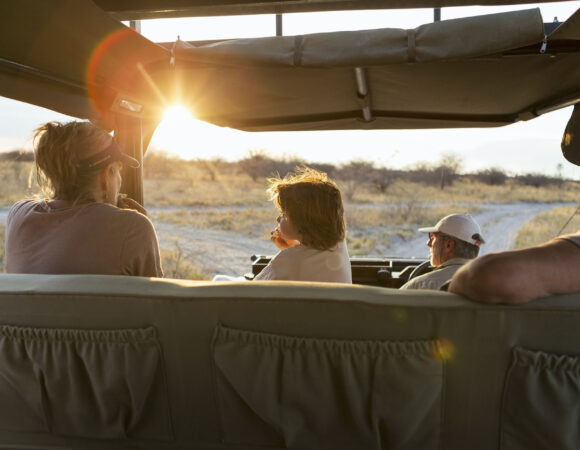 Tanzania Family Safari Cost Range 2026/2027
