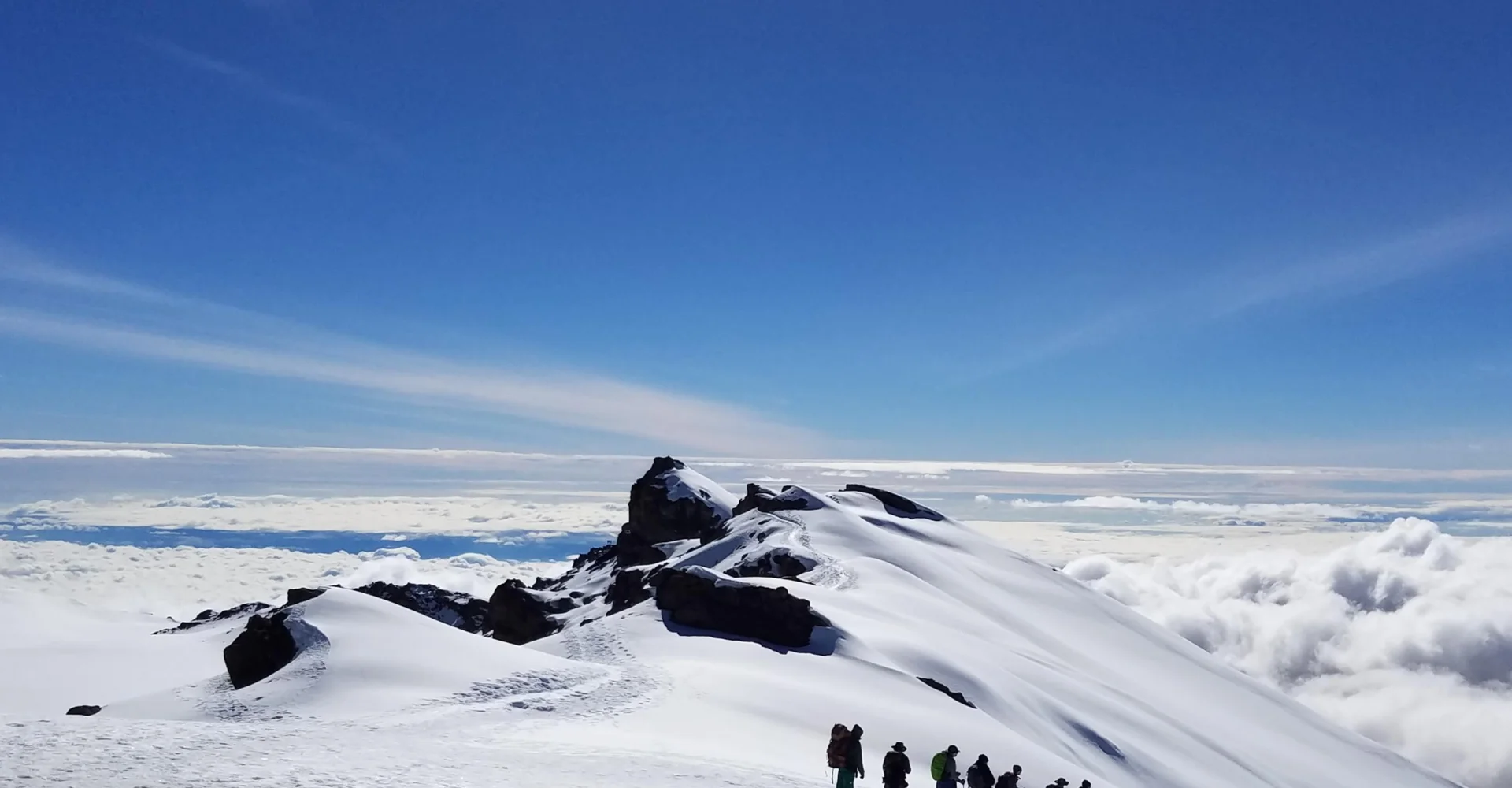 What Does a Tanzania Safari Really Cost?